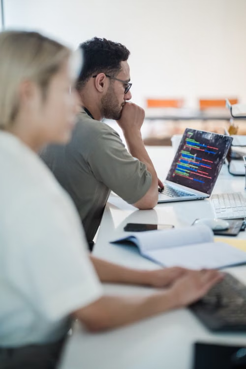 IT specialist working with bespoke